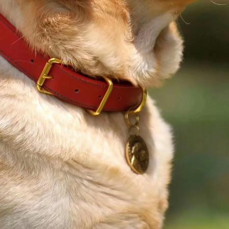 Hand-Stitched Leather Collar