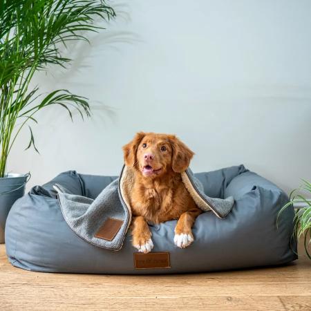 Orthopedic Cloud Dog Bed