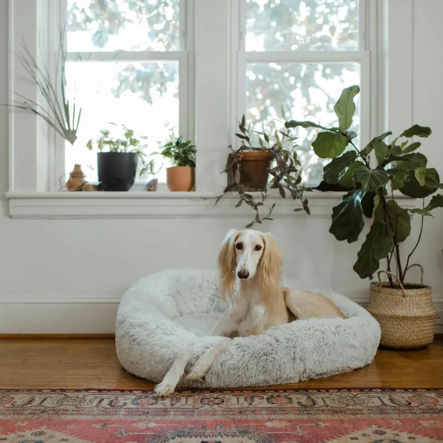 Orthopedic Cloud Dog Bed &middot; 3