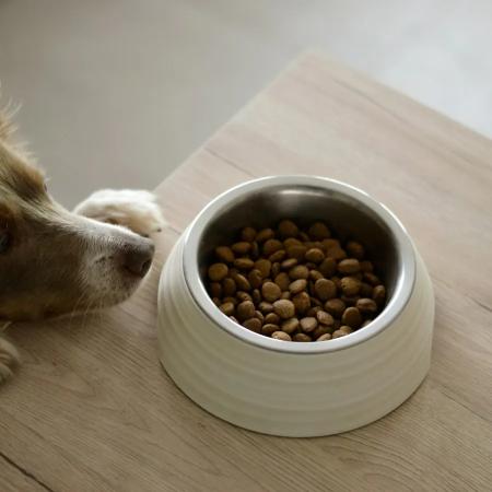 Ceramic Slow-Feeder Bowl