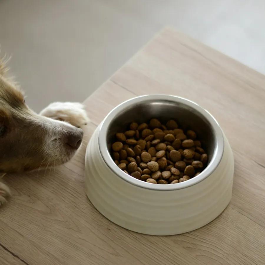 Ceramic Slow-Feeder Bowl