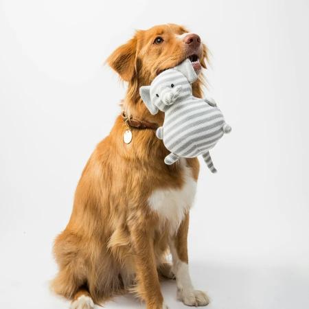 Squeaky Plush Toy Trio